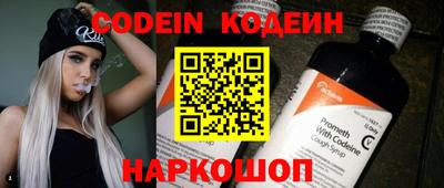 спиды Кингисепп
