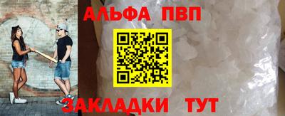 спиды Кингисепп