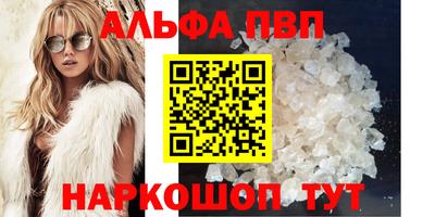 спиды Кингисепп