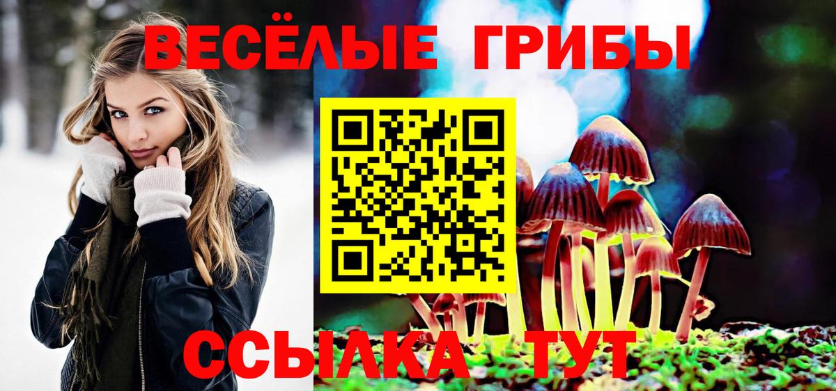 Псилоцибиновые грибы Psilocybine cubensis Кингисепп