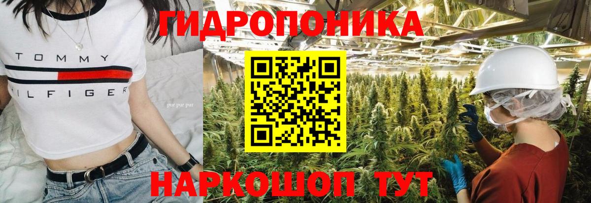 Каннабис Amnesia Кингисепп