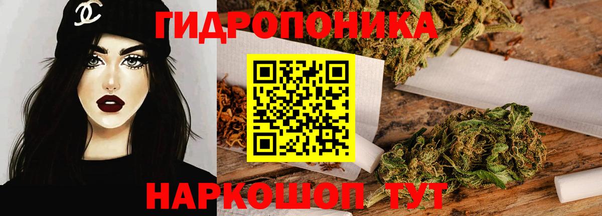 Каннабис ГИДРОПОН  Конопля AK-47  Вход с VPN  Кингисепп  Каннабис план  Канабис Bruce Banner 